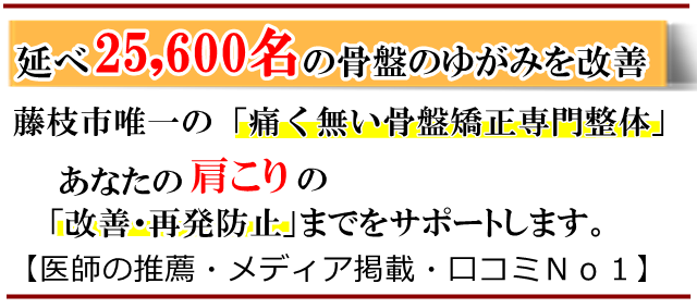 肩こり・藤枝市・いろどり整体