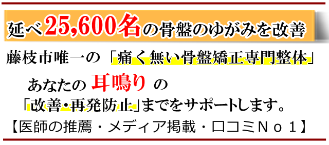 耳鳴り・藤枝市・いろどり整体