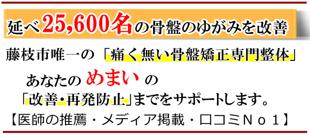 めまい・藤枝市・いろどり整体