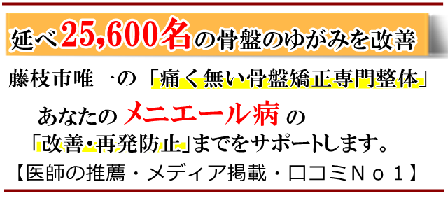 メニエール病・藤枝市・いろどり整体