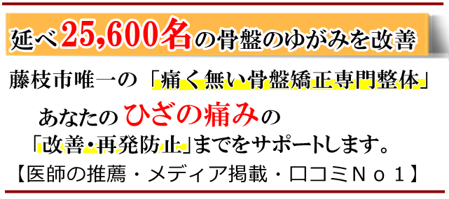 ひざの痛み・藤枝市・いろどり整体